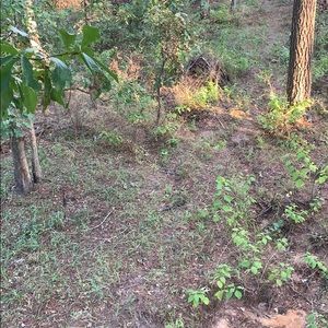 Meet your Posher, Colton